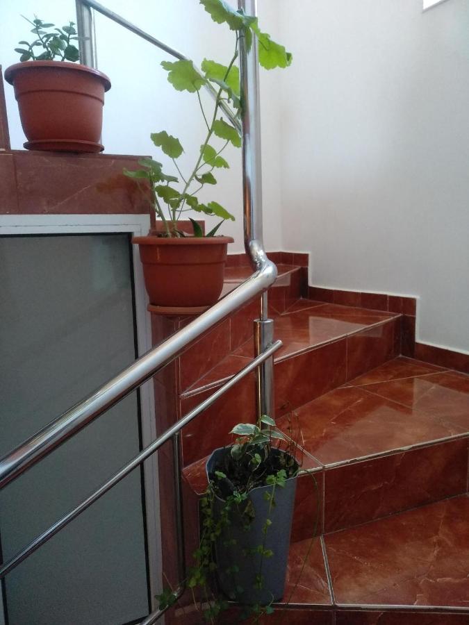 Casa Carlo Eforie Nord Ngoại thất bức ảnh